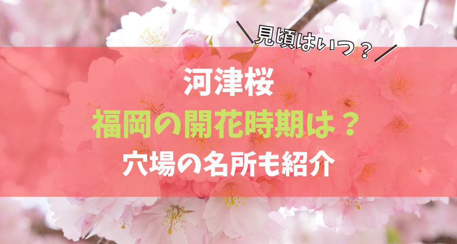 河津桜の開花時期【福岡】見頃はいつで名所や穴場はどこ？2022年【画像】