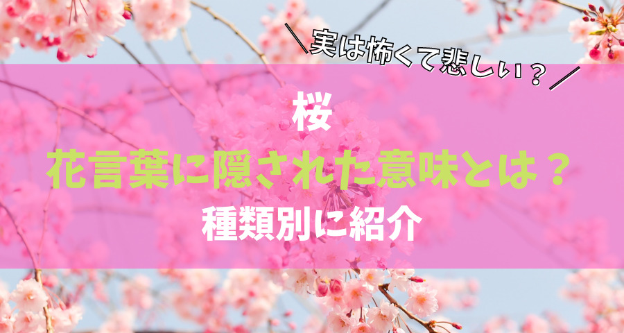 桜の花言葉に隠された意味で怖くて悲しいものがある？種類別に紹介【画像】